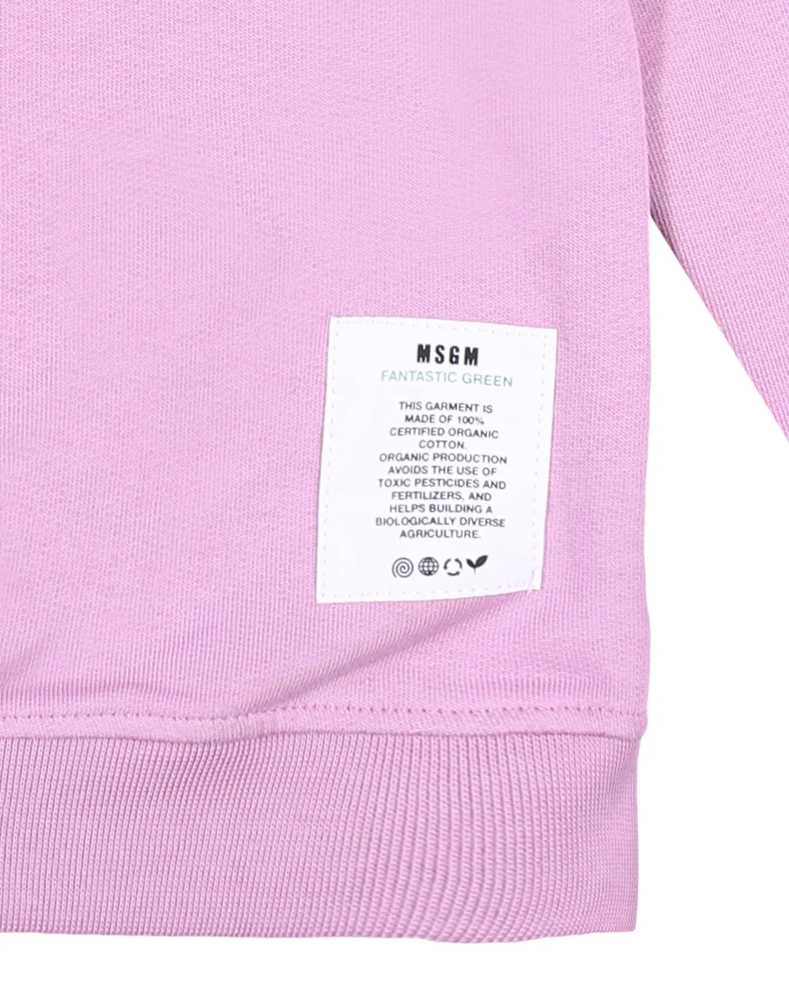 MSGM Kids Slogan Print Crewneck Sweatshirt